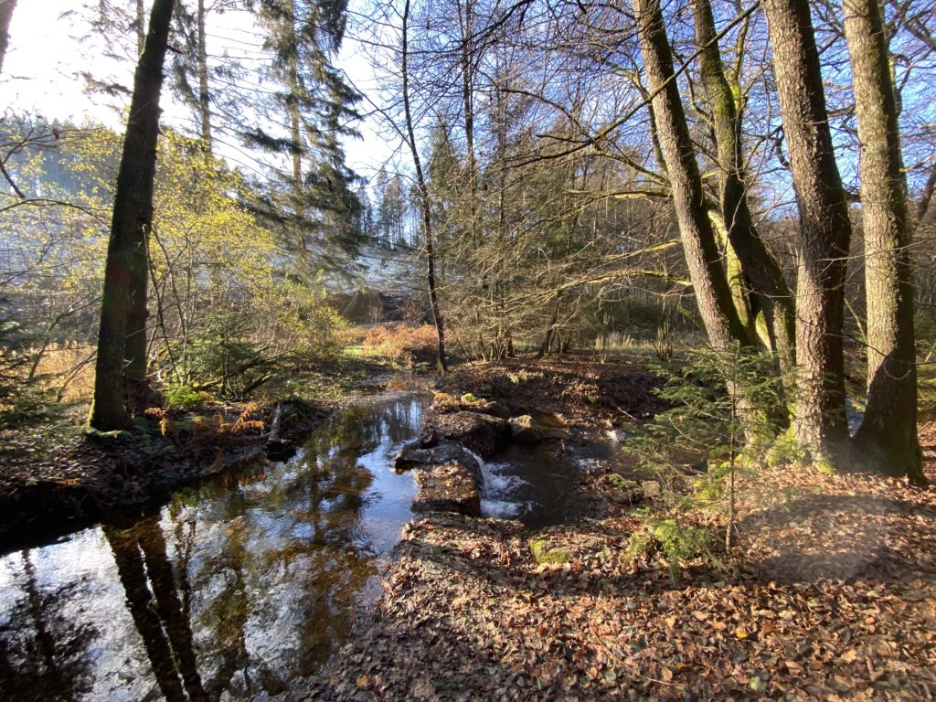 aktiver Klimaschutz durch Holzbau